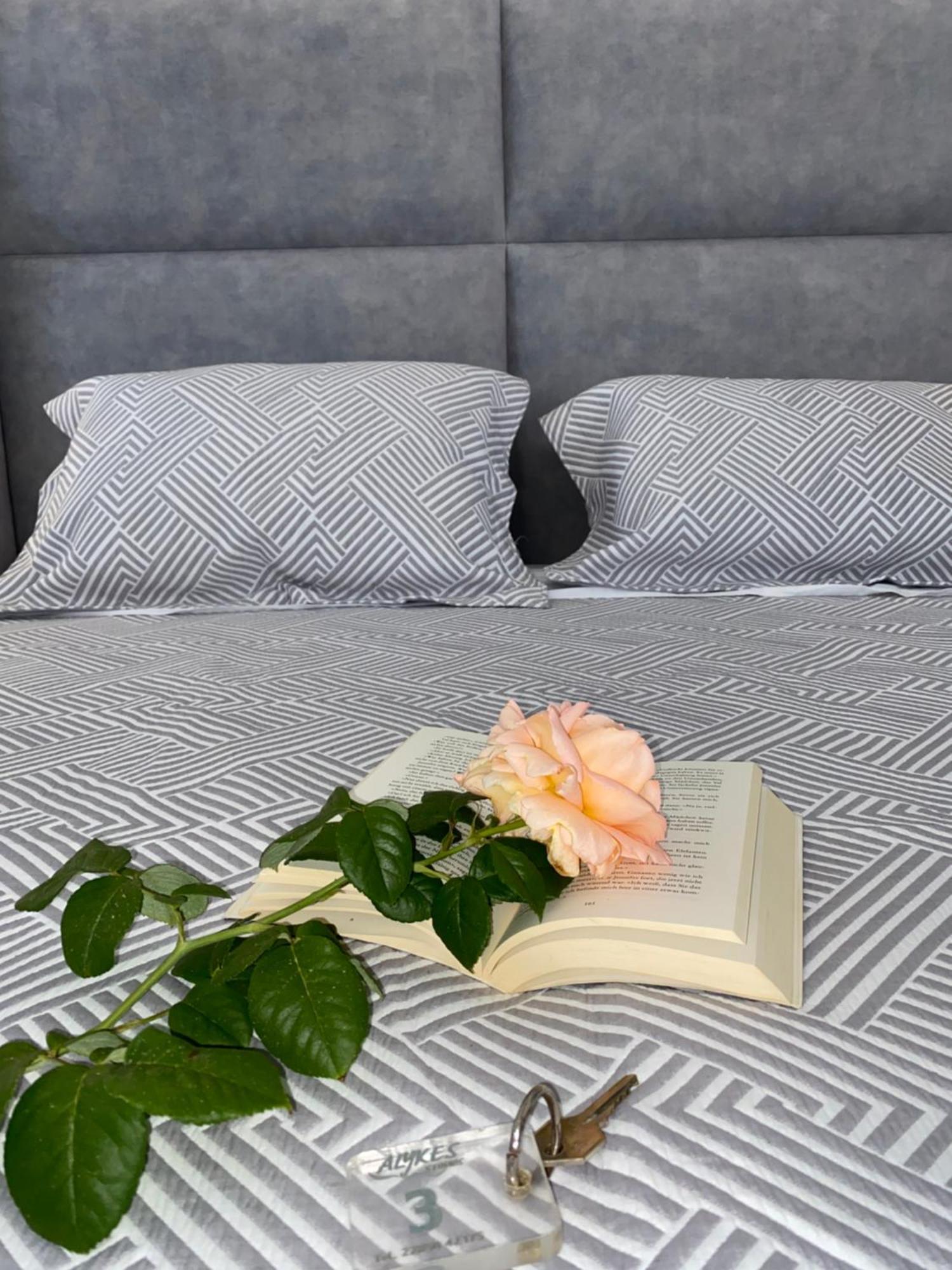 Alykes Studios & Suites آغيوس بروكوبيوس المظهر الخارجي الصورة